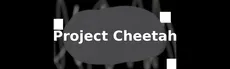 Project Cheetah hero image