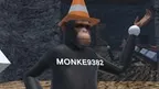 Monkey Funky screenshot 1