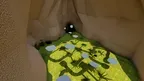 Vine Tag! screenshot 1