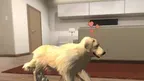 My puppy: Golden Retriever screenshot 3