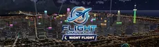 Flight Simulator Night Flight hero image
