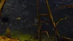 Axiom Tag screenshot 2