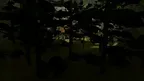 Gorillin VR screenshot 3