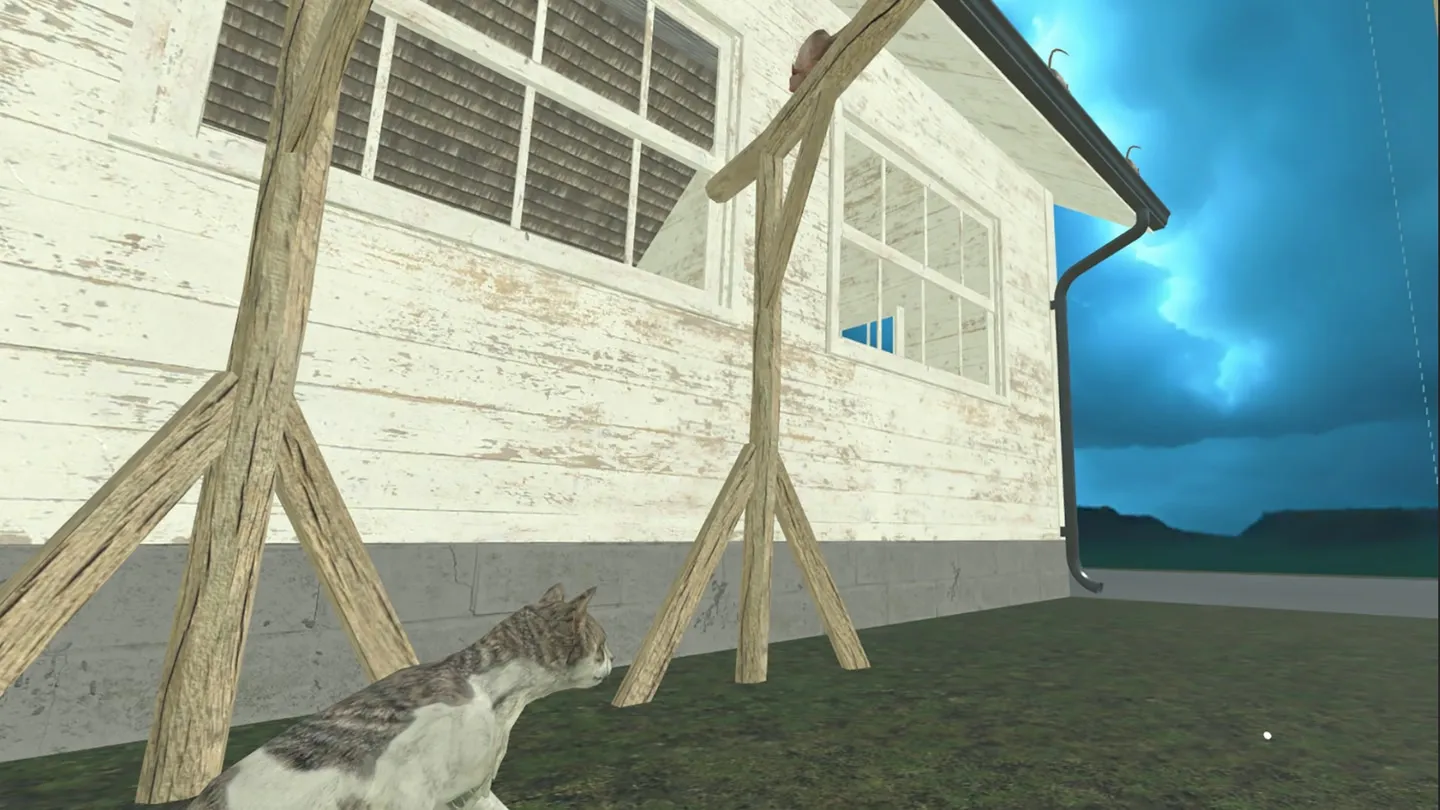 Throw mice to feed cats cover image