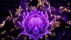 Meditation Space screenshot 1