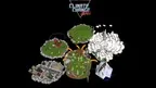 Climate Change Pinball screenshot 5