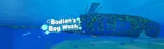 Bodians Bay Wash hero image