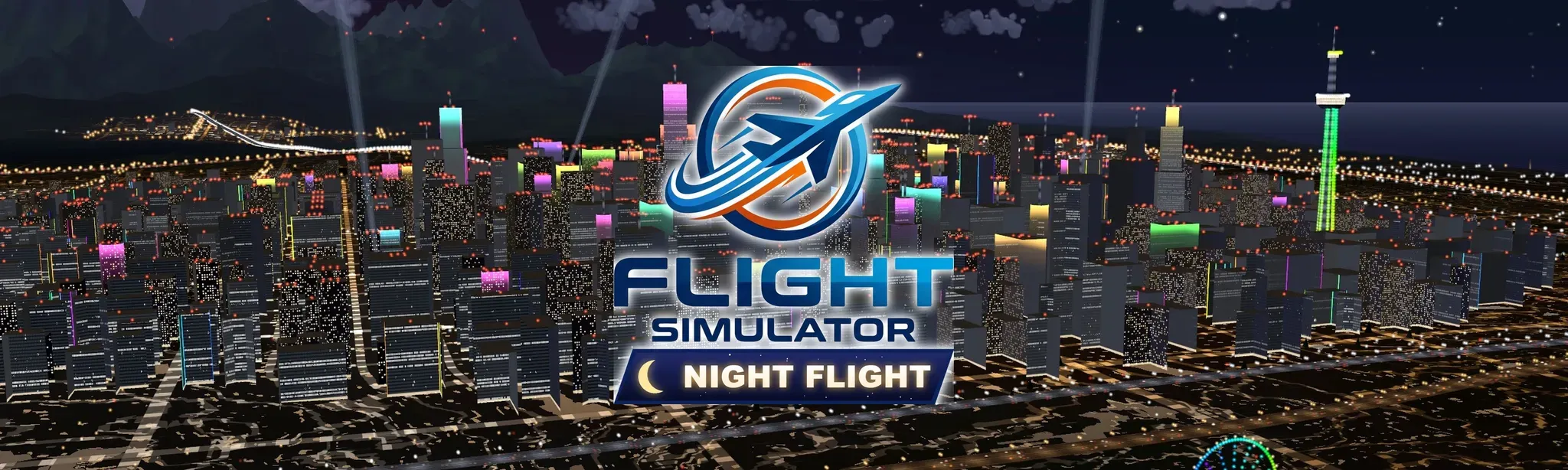Flight Simulator Night Flight