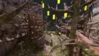 Forest Tag screenshot 3