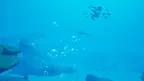 How to Rescue a Reef  screenshot 1