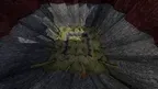 Coco Swinging screenshot 0