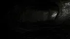 Primate Panic! screenshot 4
