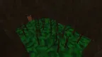 monkeys view screenshot 3