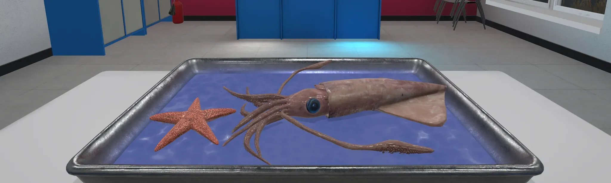 Dissection Simulator: Invertebrate Edition
