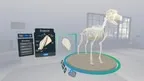 Veterinary Anatomy and Physiology screenshot 3