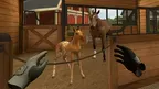 Rival Stars Horse Racing: VR Edition screenshot 4
