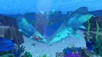 Shark Go screenshot 5