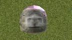 Capybara Space (DISCONTINUED) screenshot 3