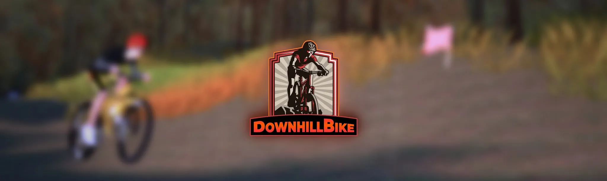 Downhill Bike
