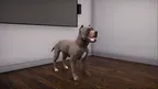VBIDogExposure screenshot 1