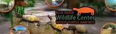BRWC: Wood Turtle Habitats hero image