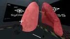 syGlass Learn screenshot 4