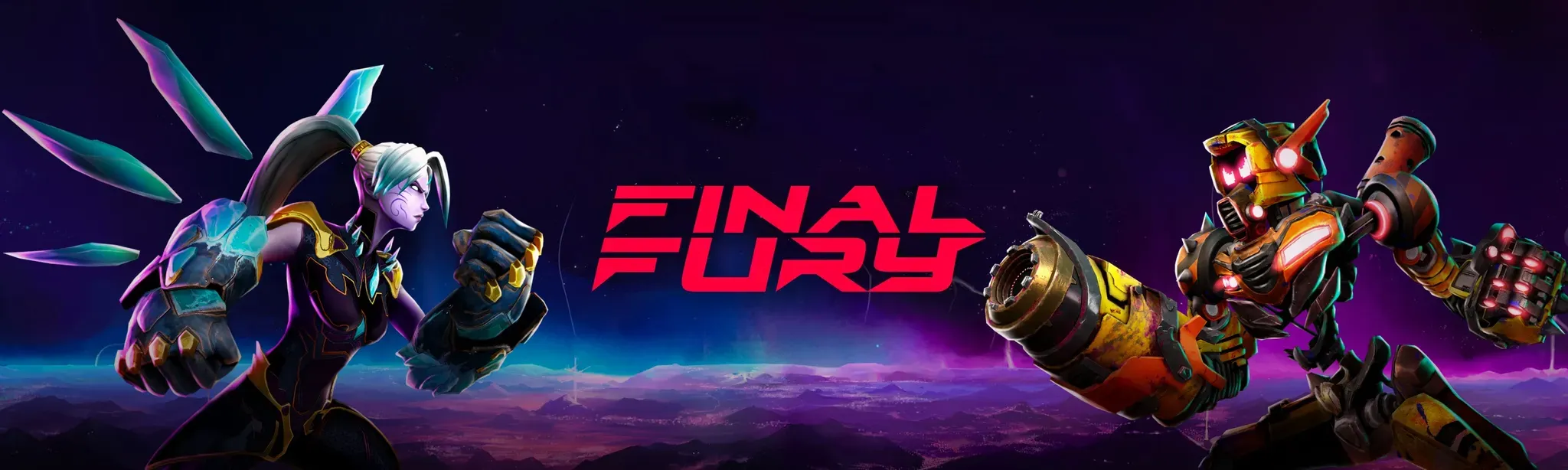 FINAL FURY