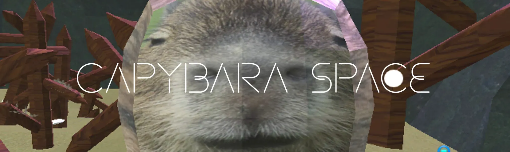 Capybara Space (DISCONTINUED)