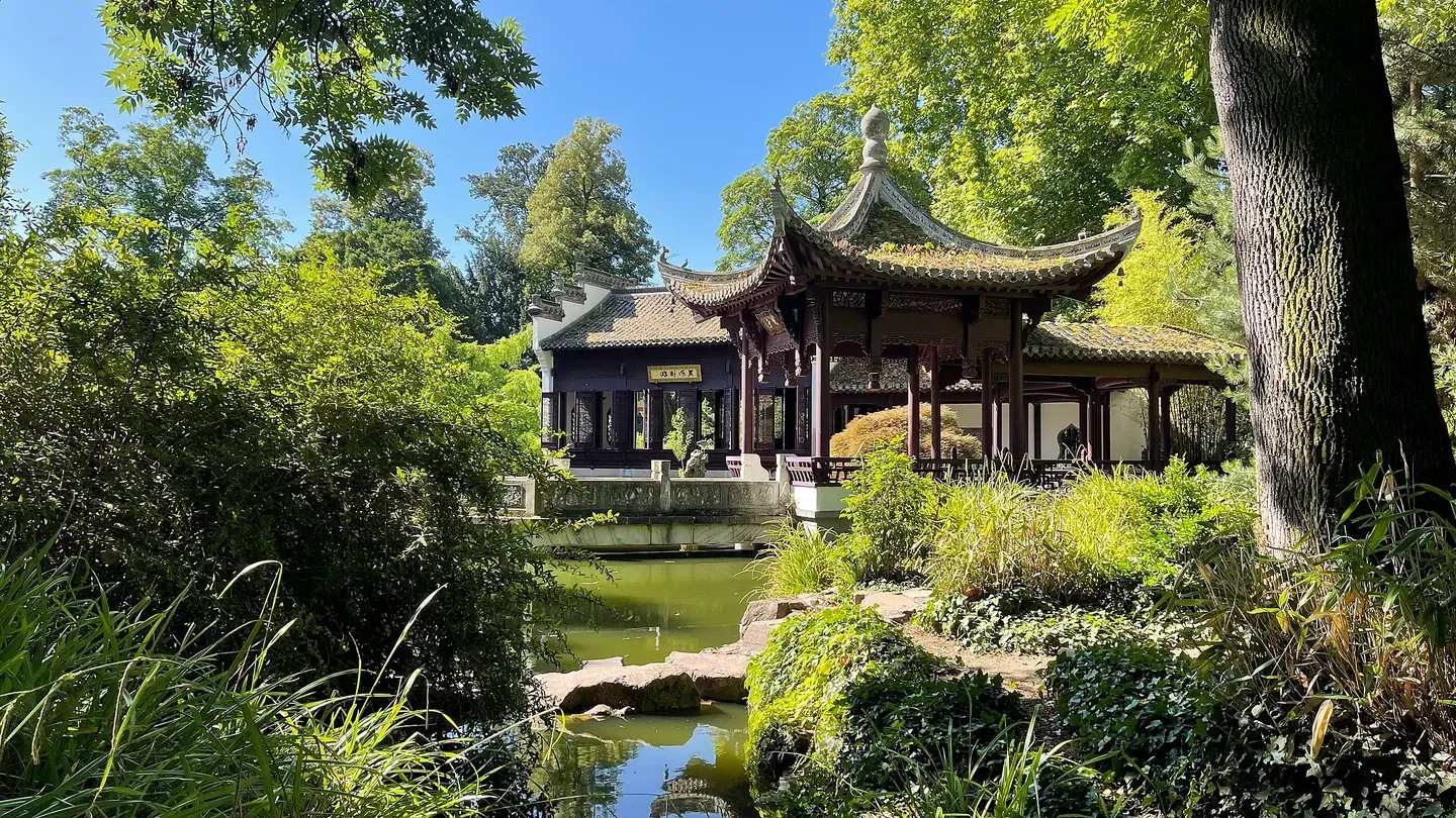 Calm VR: Japanese Garden Wellness Escape cover image