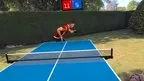 Timo Boll VR Table Tennis screenshot 3