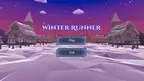 Winter Runner screenshot 1