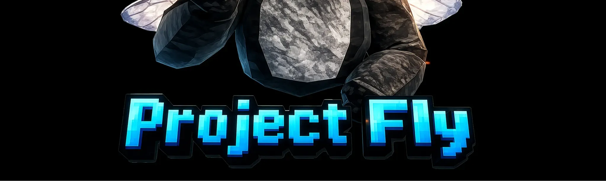 Project Fly
