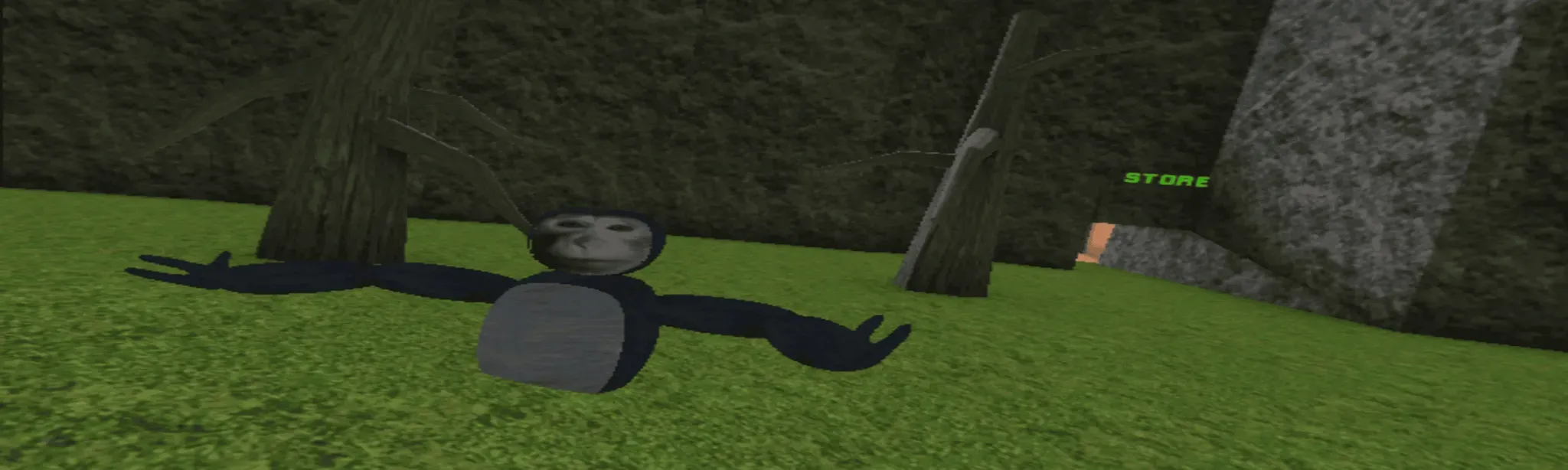Marmosket VR