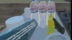 Science in Cooking: Dumpling screenshot 2