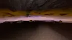 Plastisapiens screenshot 2