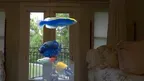 Magic Goldfish Bowl AR screenshot 5