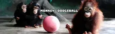 Monkey Dodgeball - Play VR Gun Shooting Games as a Monkey hero image