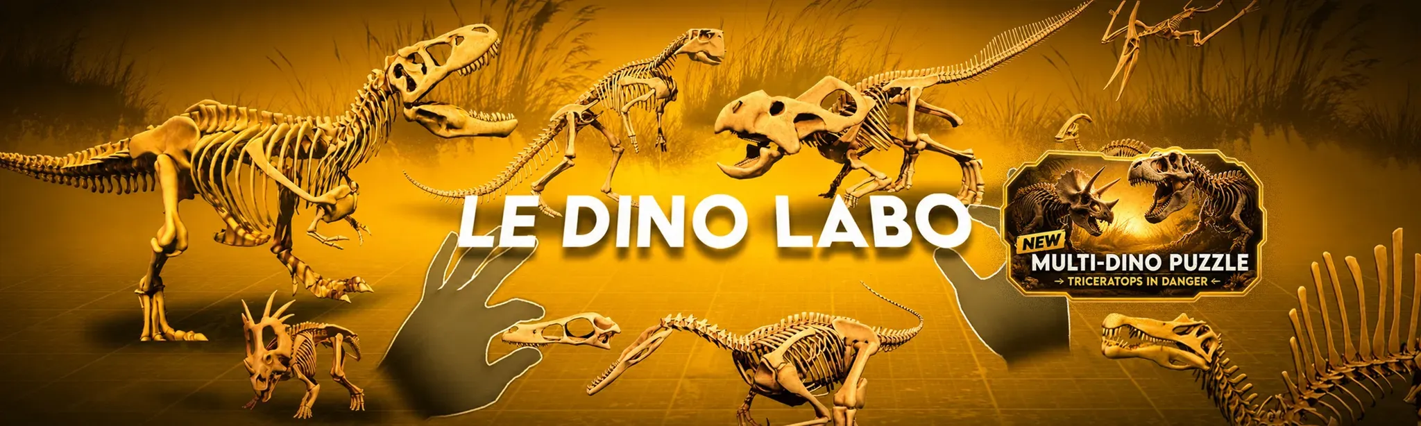 Le Dino Labo