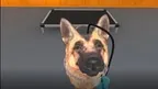Top Tier K9 screenshot 1