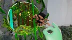 Jungle Man (Free to Play) screenshot 2