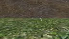 Project Pigeon screenshot 1