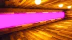 SourTagg screenshot 3