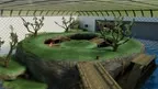 Kong screenshot 3
