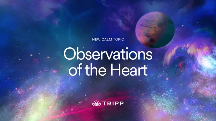Developer update image for Brand New Calm Topic