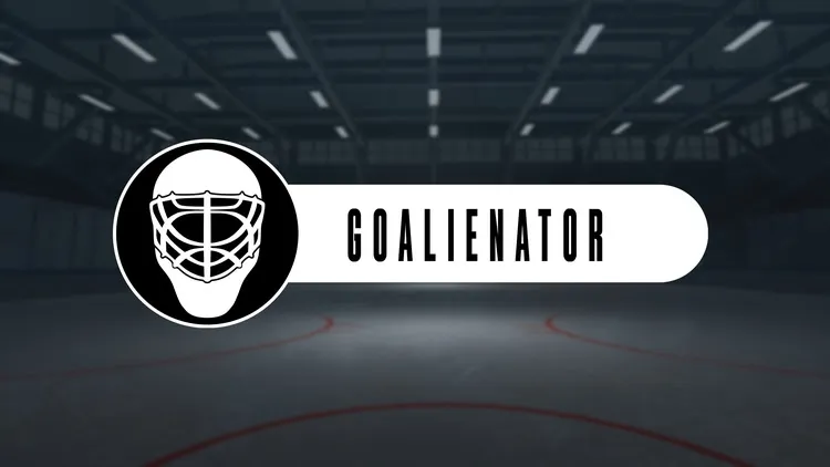 Developer update image for Goalienator development resumes, bringing us back to the virtual ice!