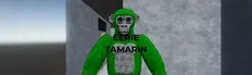 Eerie Tamarin hero image