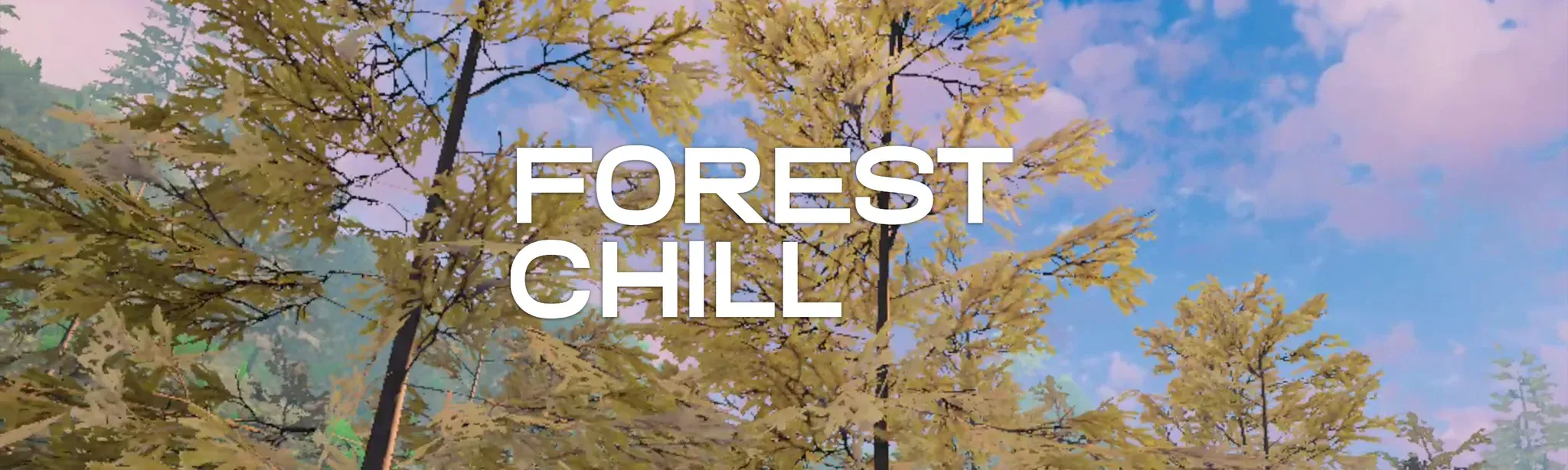 Forest Chill