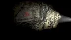 Primal Fear: Redux screenshot 3