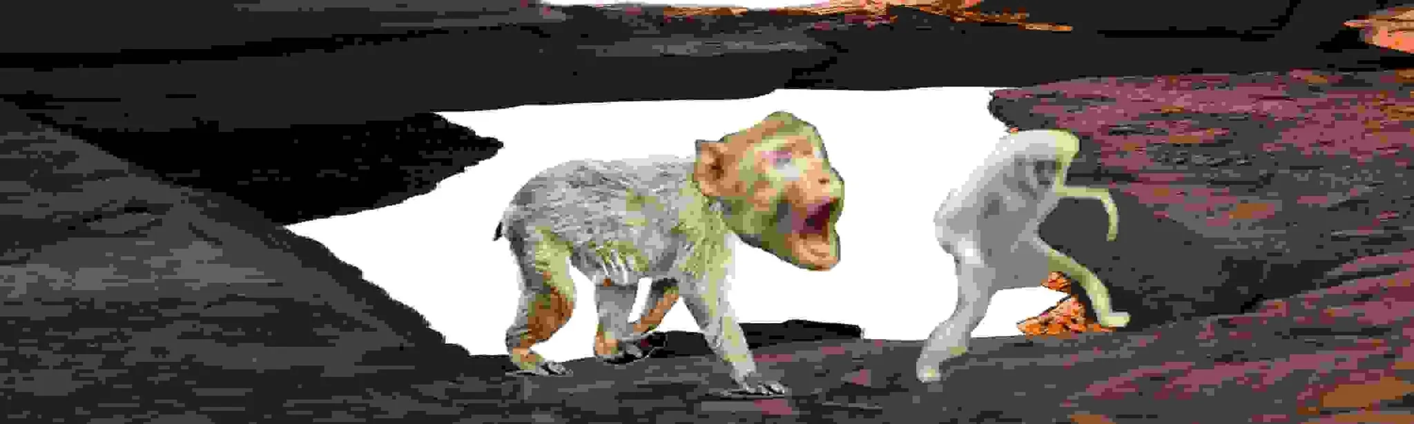 OLD GAME