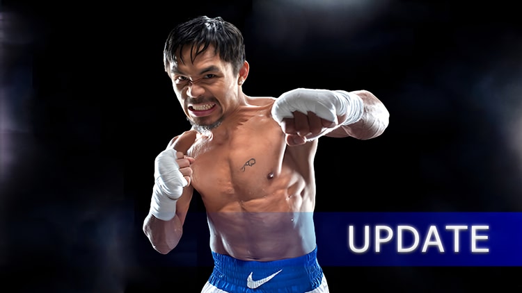 Developer update image for Manny Boxing VR V1.4.0